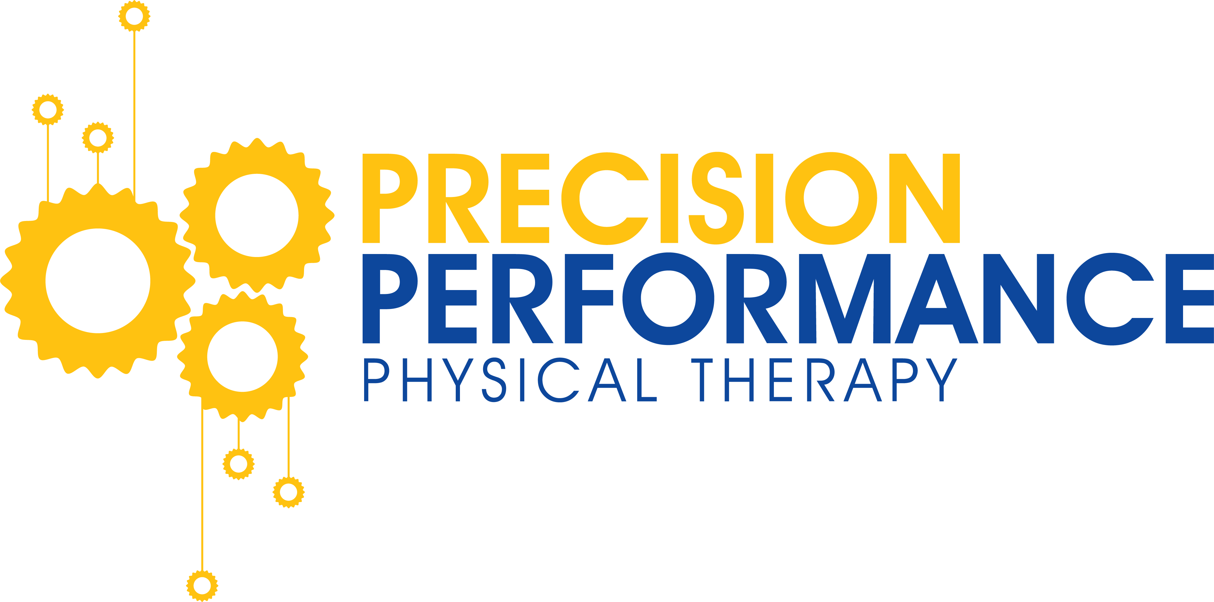 Precision Performance Physical Therapy