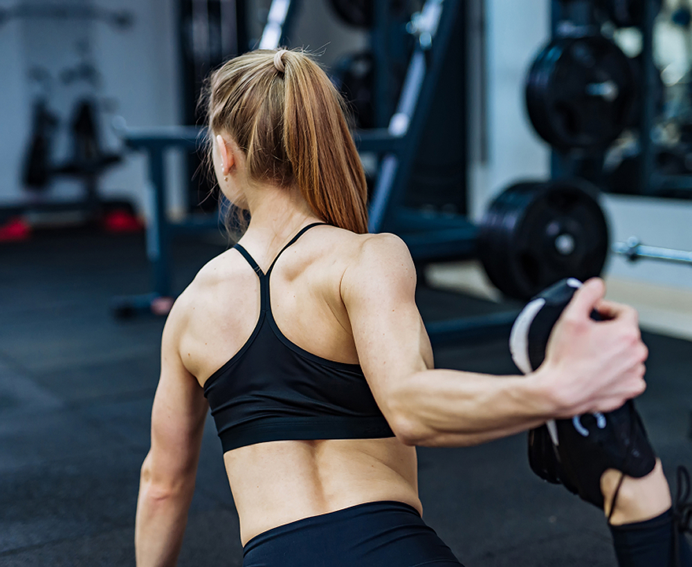 Ideal PPPT Ambassador